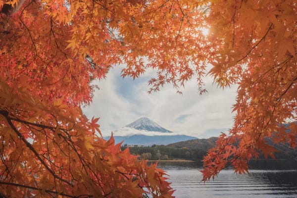 Daniel Kordan: Autumn In Japan XXI by Daniel Kordan