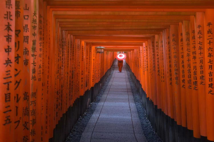 Autumn In Japan XXII