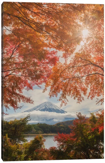 Autumn In Japan XXIV Canvas Art Print - Japan Art