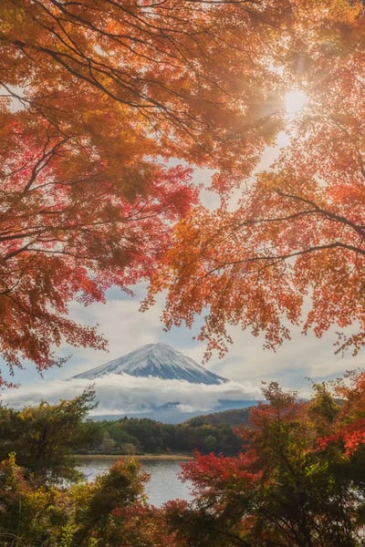 Daniel Kordan: Autumn In Japan XXIV by Daniel Kordan