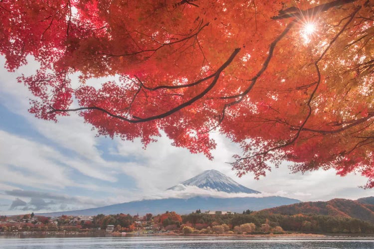 Autumn In Japan XXV