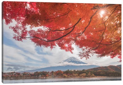 Autumn In Japan XXV Canvas Art Print - Daniel Kordan