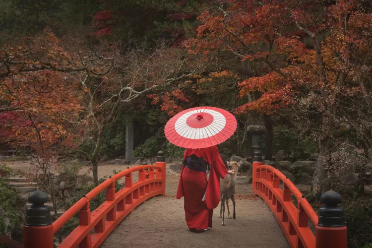 Autumn In Japan XXVI