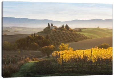 Autumn In Tuscany I Canvas Art Print - Hill & Hillside Art