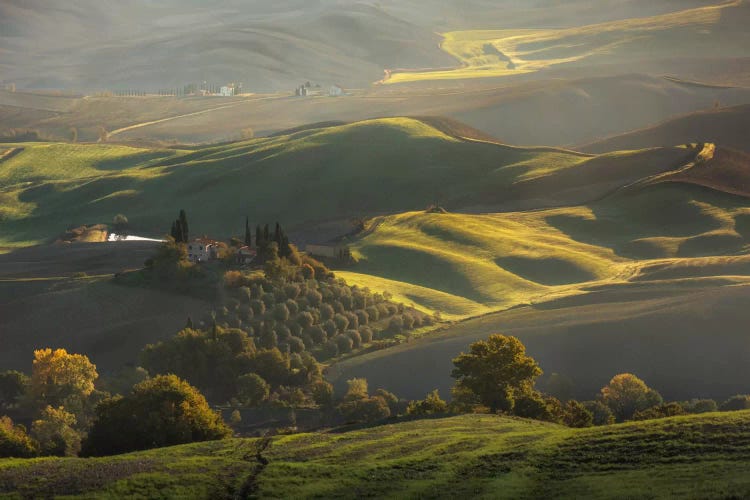 Autumn In Tuscany III