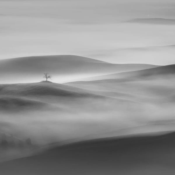 Daniel Kordan: Autumn In Tuscany V by Daniel Kordan