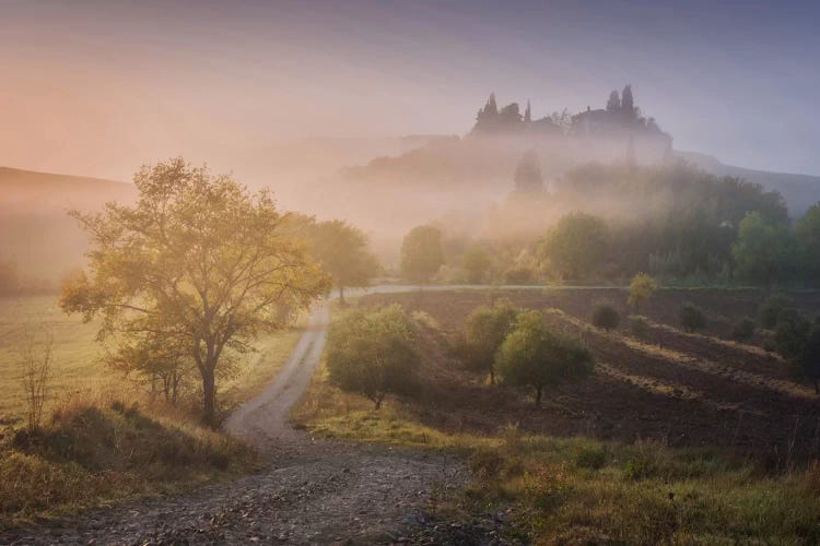 Autumn In Tuscany VI