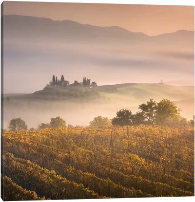 Autumn In Tuscany VII Canvas Art Print - Mist & Fog Art