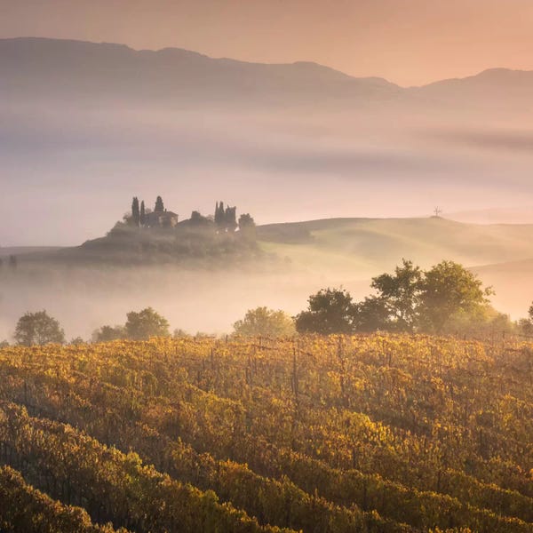 Daniel Kordan: Autumn In Tuscany VII by Daniel Kordan