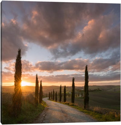 Autumn In Tuscany X Canvas Art Print - Countryside Art