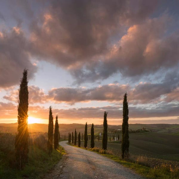 Daniel Kordan: Autumn In Tuscany X by Daniel Kordan