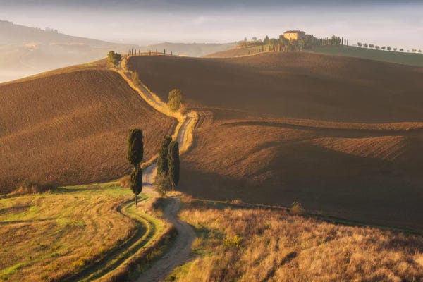 Daniel Kordan: Autumn In Tuscany XI by Daniel Kordan