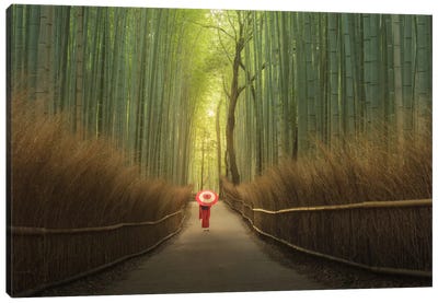 Bamboo Forest In Japan Canvas Art Print - Restaurant