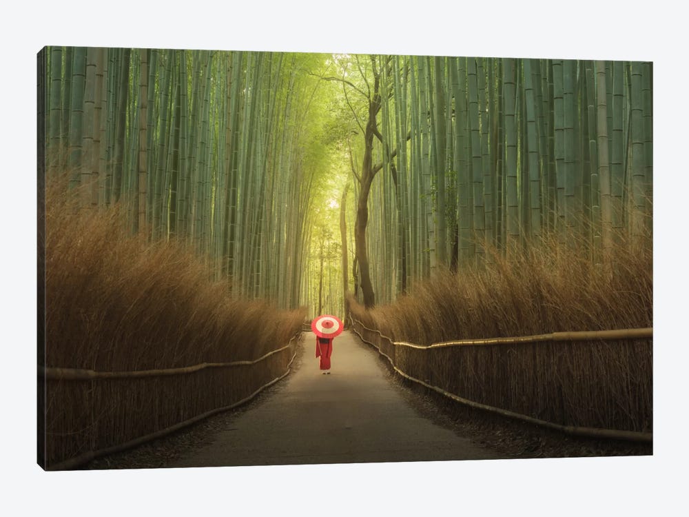 Bamboo Forest In Japan by Daniel Kordan 1-piece Canvas Print