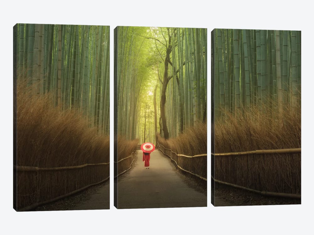 Bamboo Forest In Japan by Daniel Kordan 3-piece Art Print