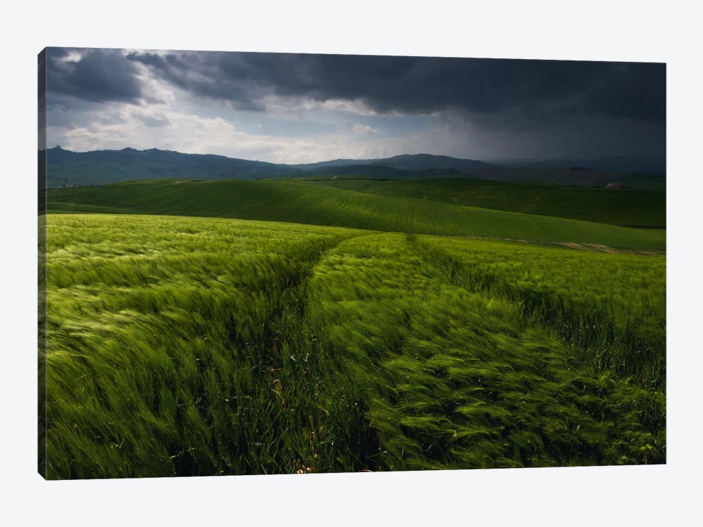 Before The Tuscany Storm by Daniel Kordan 1-piece Canvas Wall Art