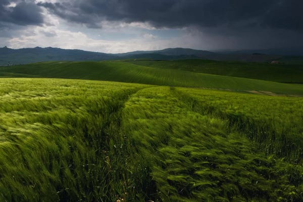 Daniel Kordan: Before The Tuscany Storm by Daniel Kordan