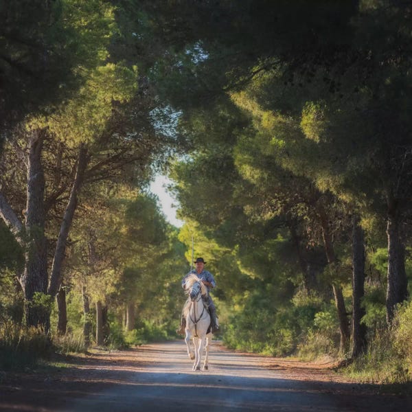 Daniel Kordan: Camargue by Daniel Kordan