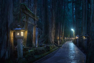 Japan by Daniel Kordan art print