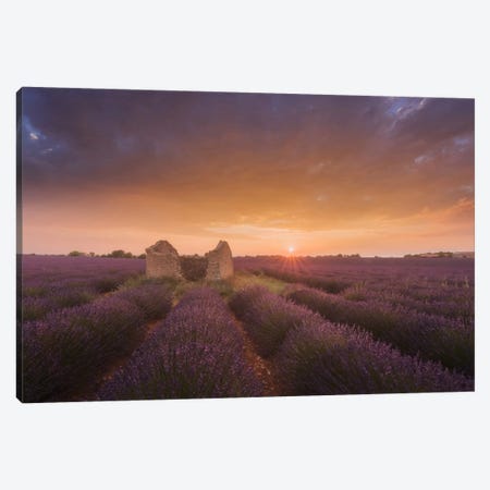 Lavender Fields Of Provence I Canvas Print #KRD48} by Daniel Kordan Canvas Wall Art