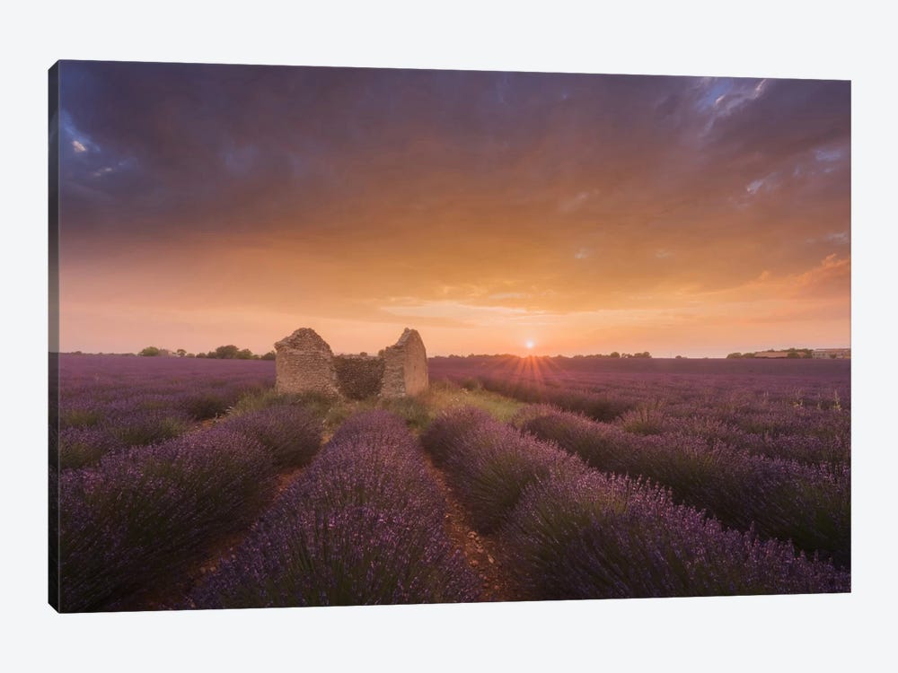Lavender Fields Of Provence I by Daniel Kordan 1-piece Art Print