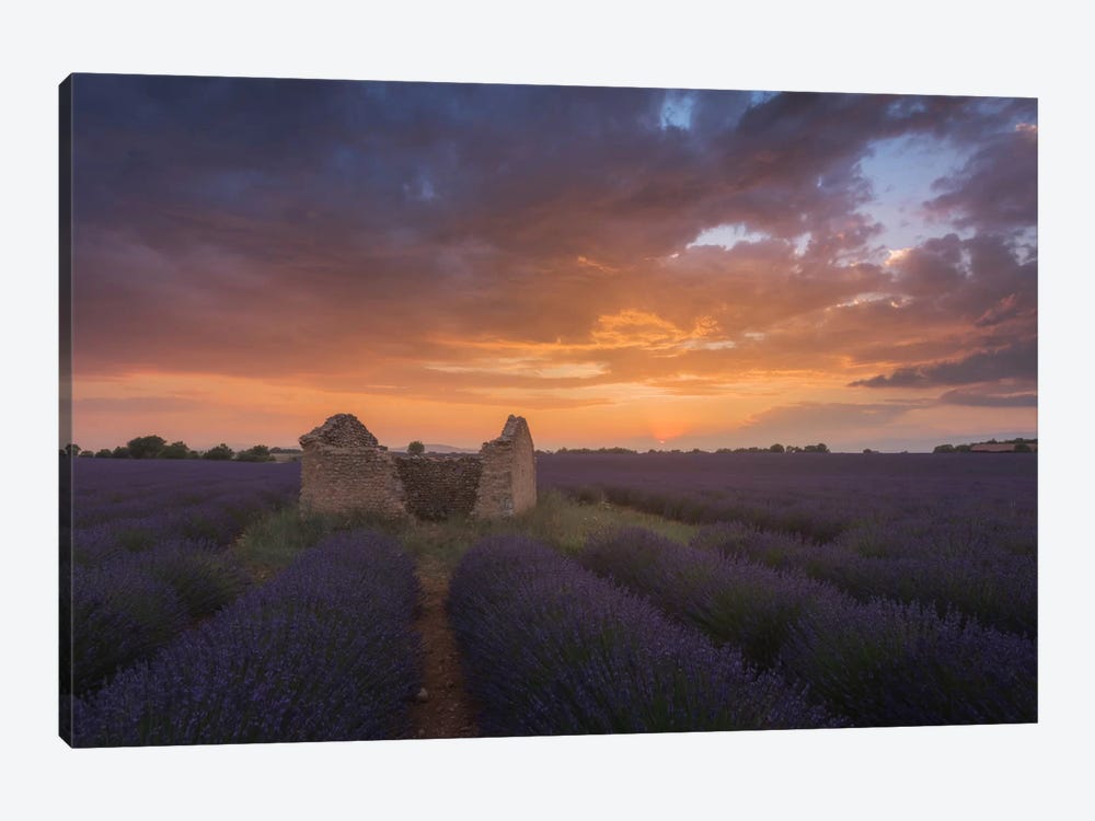 Lavender Fields Of Provence II by Daniel Kordan 1-piece Canvas Art