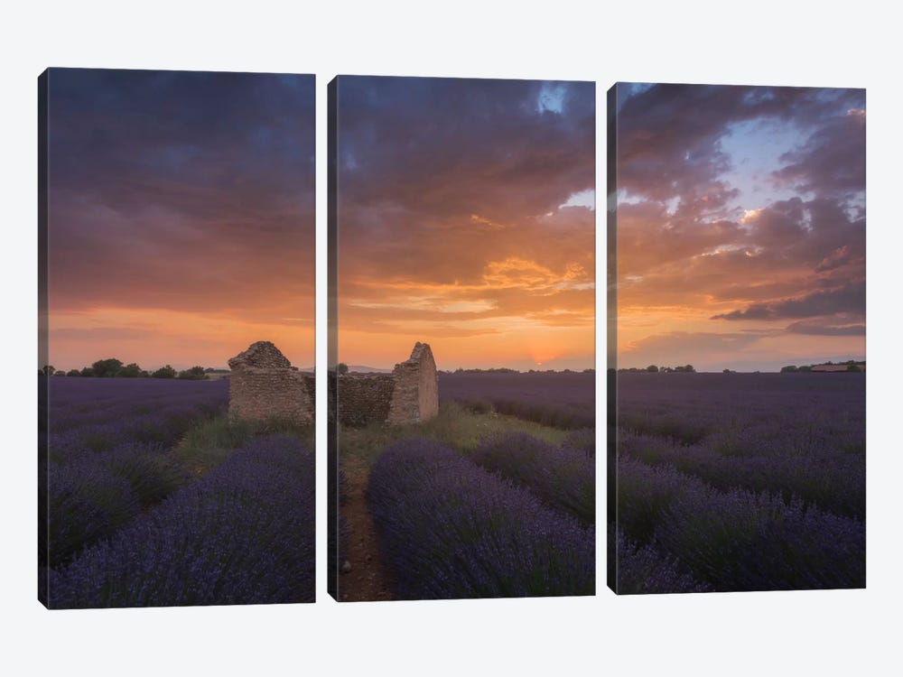 Lavender Fields Of Provence II by Daniel Kordan 3-piece Canvas Artwork