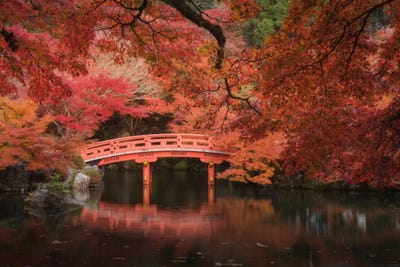 Autumn In Japan V by Daniel Kordan art print