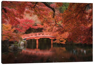 Autumn In Japan V Canvas Art Print - Monochromatic Photography