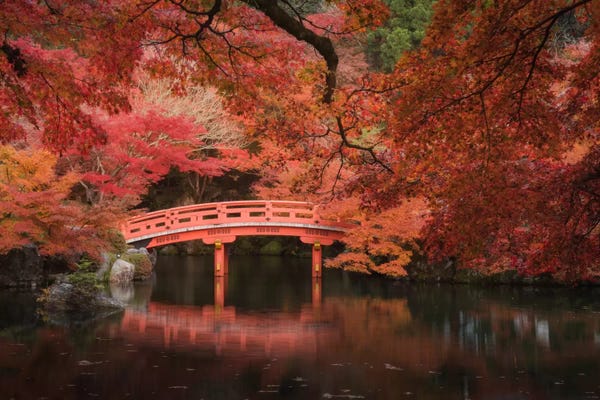 Daniel Kordan: Autumn In Japan V by Daniel Kordan