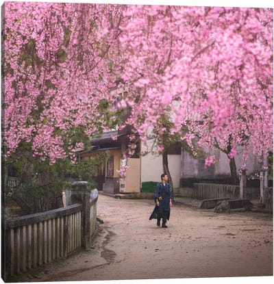 Spring In Japan II Canvas Art Print - Daniel Kordan