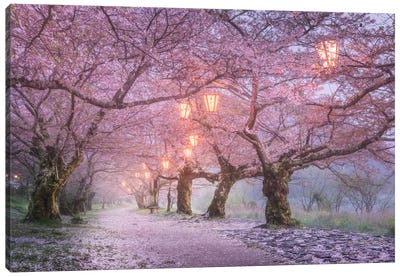 Spring In Japan III Canvas Art Print - Garden & Floral Landscape Art