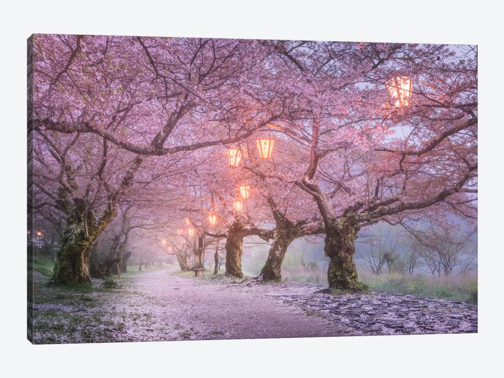 Spring In Japan III by Daniel Kordan 1-piece Canvas Print