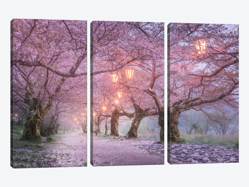 Spring In Japan III by Daniel Kordan 3-piece Art Print
