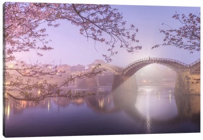 Spring In Japan IV Canvas Art Print - Daniel Kordan