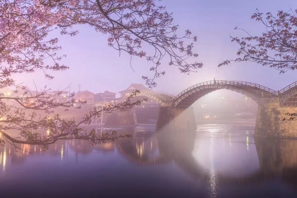 Daniel Kordan: Spring In Japan IV by Daniel Kordan