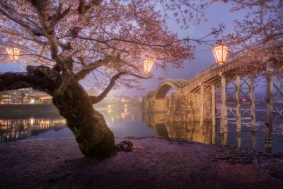 Spring In Japan V by Daniel Kordan framed wall art