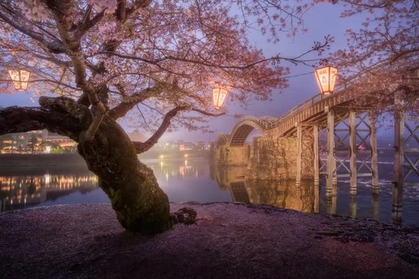 Daniel Kordan: Spring In Japan V by Daniel Kordan