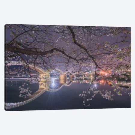 Spring In Japan VI Canvas Print #KRD65} by Daniel Kordan Canvas Print