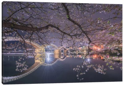 Spring In Japan VI Canvas Art Print - Japan Art