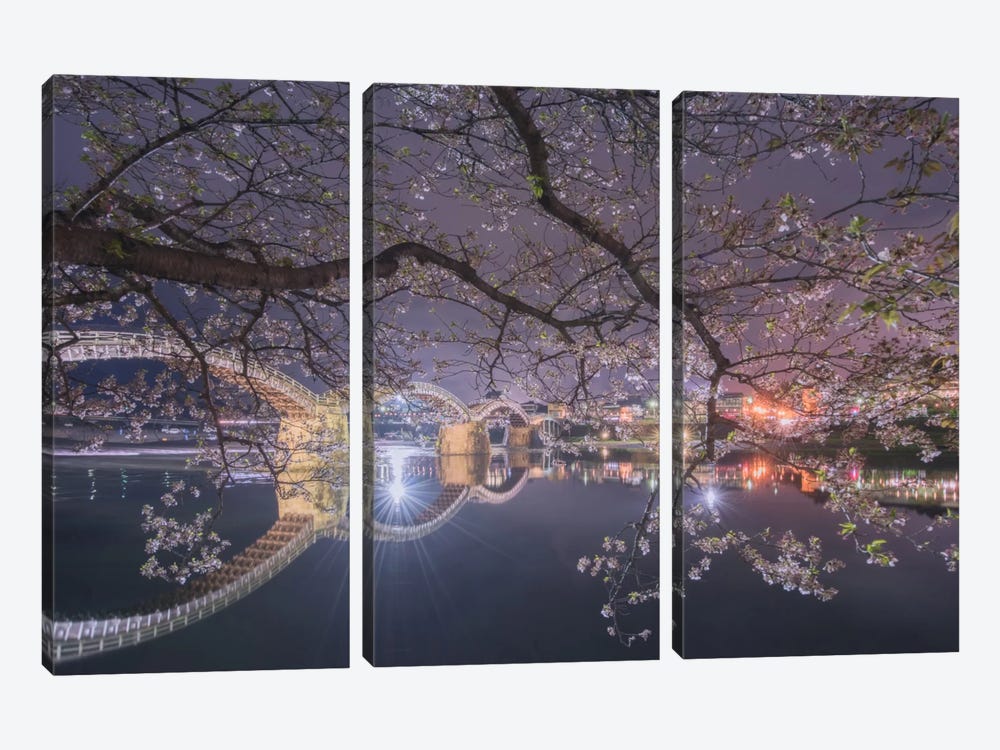 Spring In Japan VI by Daniel Kordan 3-piece Canvas Art