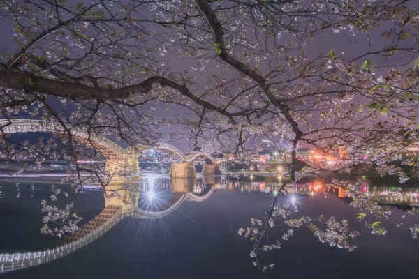 Daniel Kordan: Spring In Japan VI by Daniel Kordan