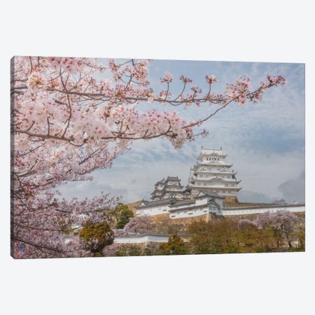 Spring In Japan VII Canvas Print #KRD66} by Daniel Kordan Canvas Art Print