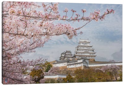 Spring In Japan VII Canvas Art Print - Daniel Kordan
