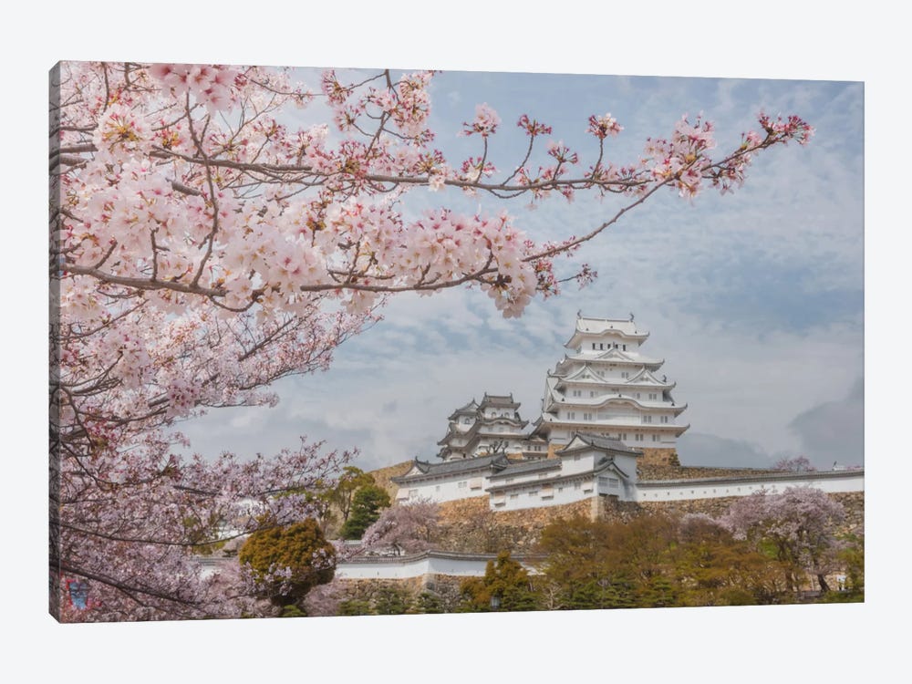 Spring In Japan VII by Daniel Kordan 1-piece Art Print