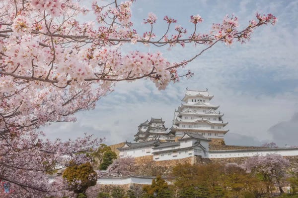 Daniel Kordan: Spring In Japan VII by Daniel Kordan
