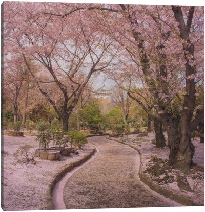 Spring In Japan IX Canvas Art Print - Daniel Kordan