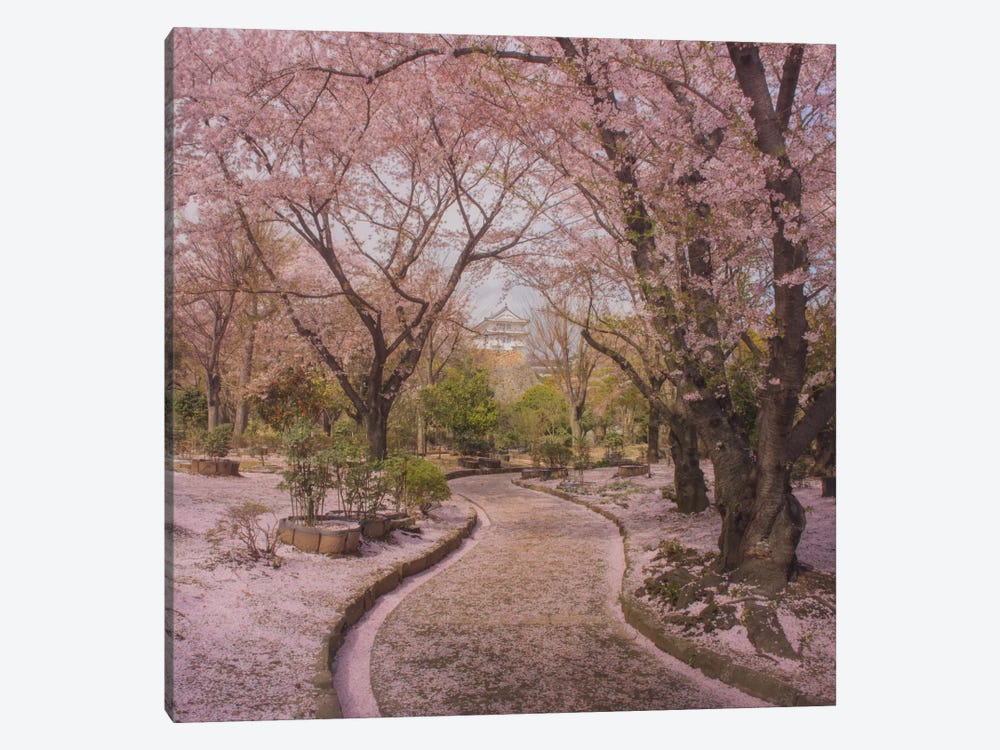 Spring In Japan IX by Daniel Kordan 1-piece Canvas Print