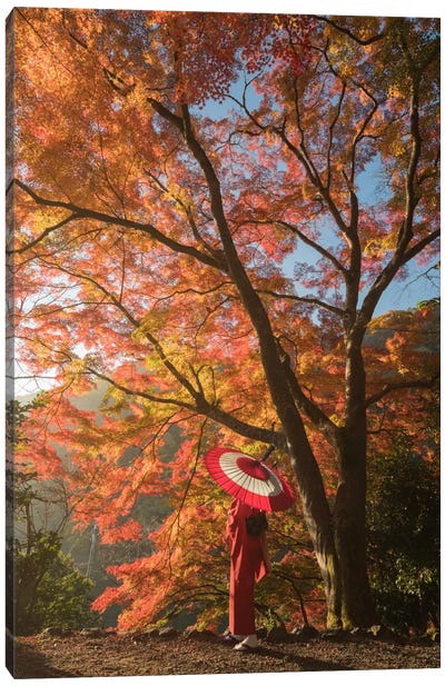 Autumn In Japan VI Canvas Art Print - Garden & Floral Landscape Art