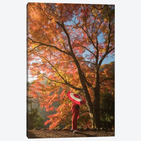 Autumn In Japan VI Canvas Print #KRD6} by Daniel Kordan Canvas Print